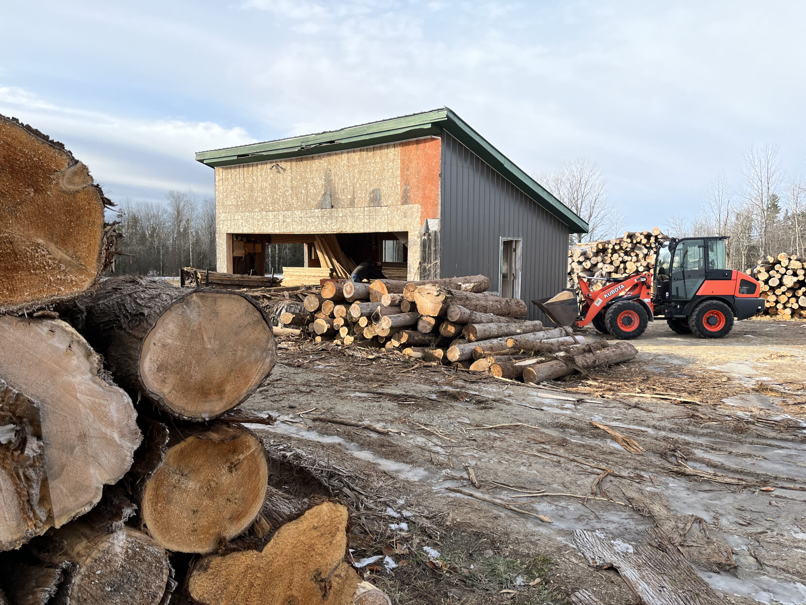 5-Brad Deth log yard.jpeg